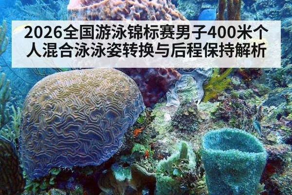 2026全国游泳锦标赛男子400米个人混合泳泳姿转换与后程保持解析